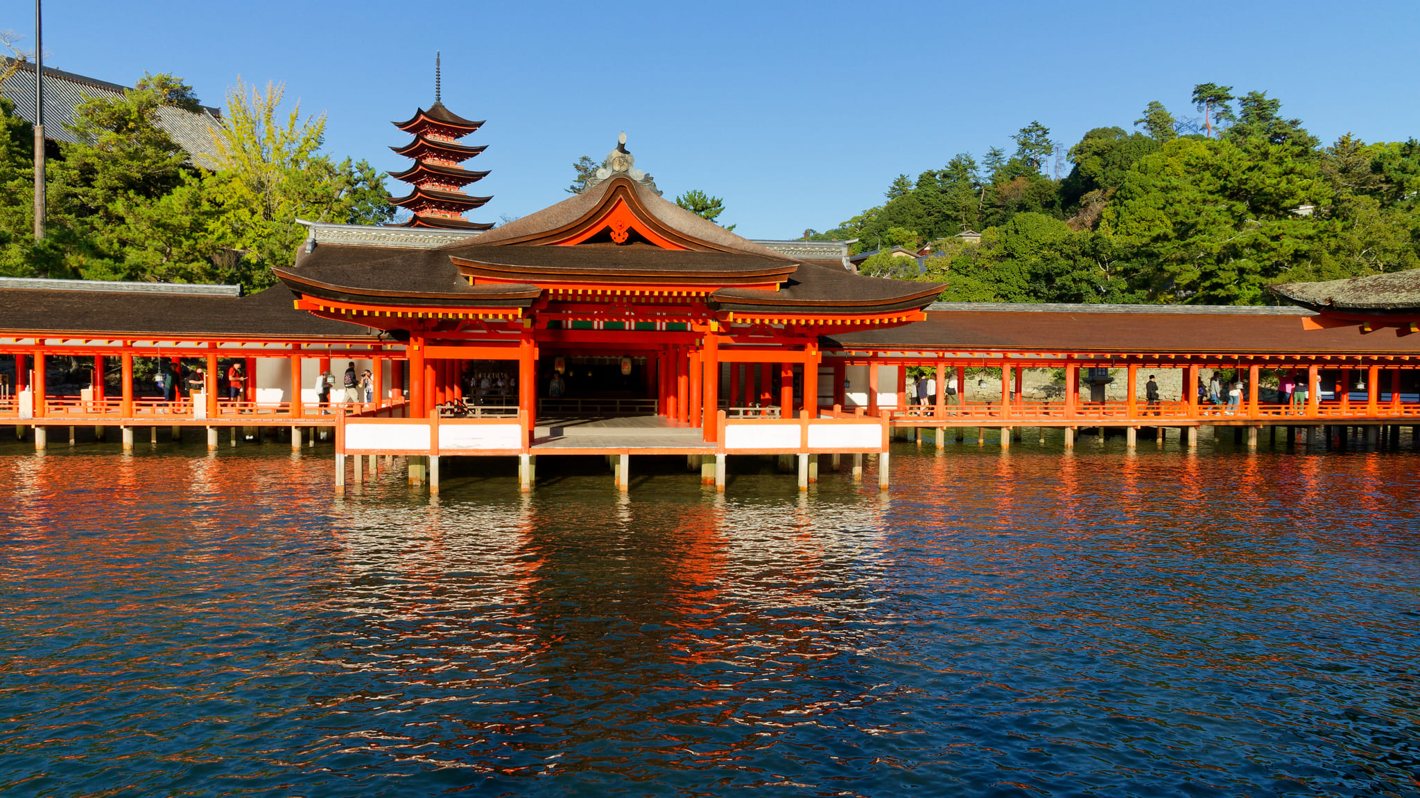 12-Ile Miyajima (17).jpg